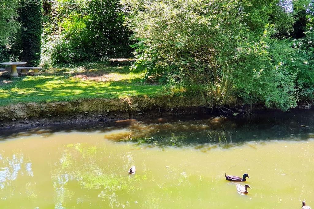 Tout Le Confort Au Milieu D'Un Parc Botanique Noyal-Muzillac Exterior photo